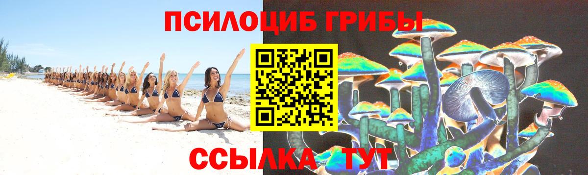 Рузаевка  Псилоцибиновые грибы GOLDEN TEACHER  Вход с VPN  Псилоцибиновые грибы ЛСД 